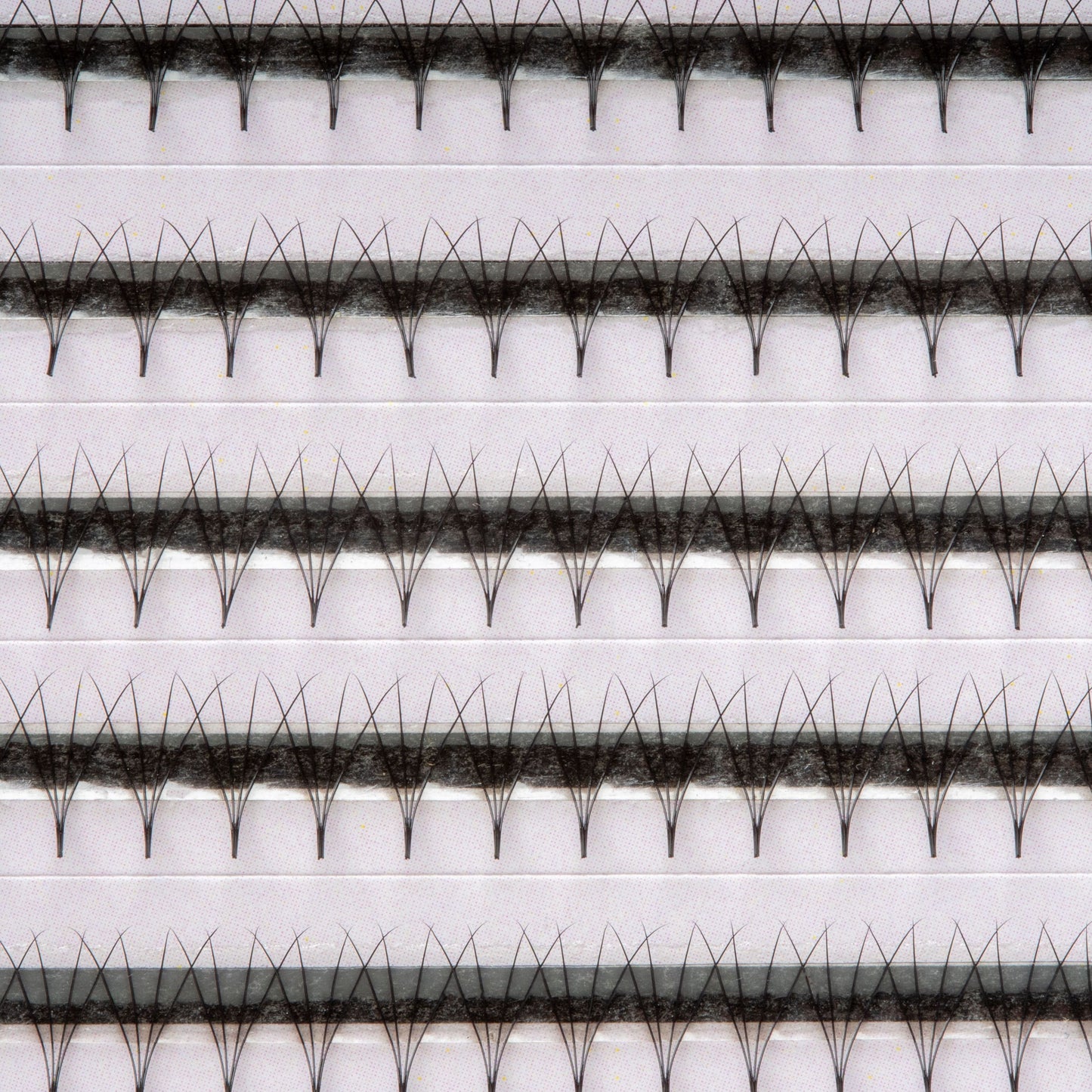 Regular_4D_volume_fans_myLashy