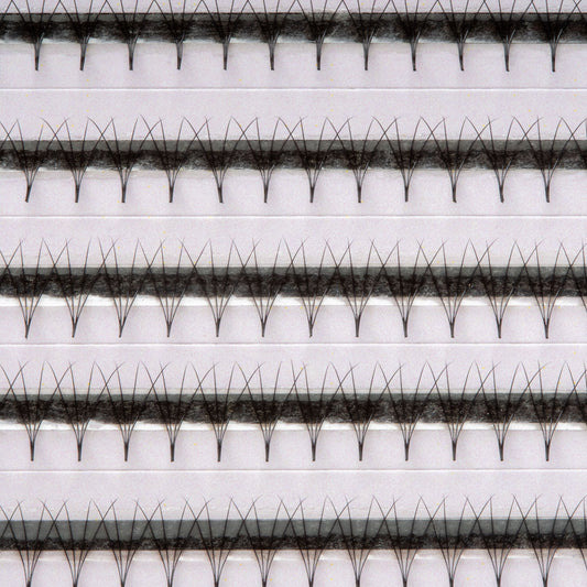 Regular_4D_volume_fans_myLashy